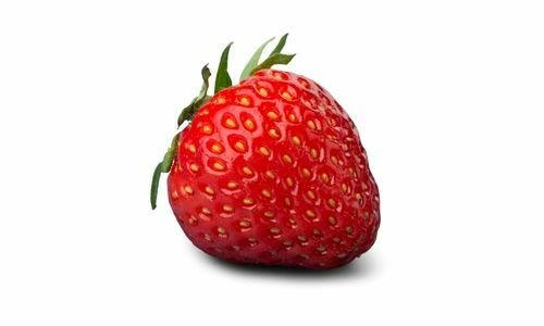 Albion Çilek Fidesi Çeşitleri