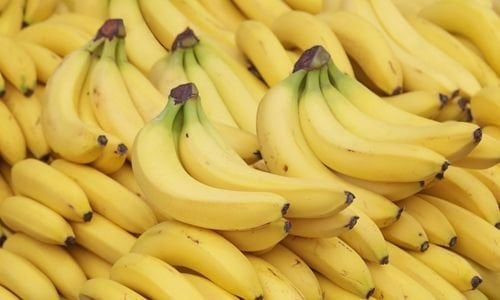 Anamur Muz Fidanı Özellikleri