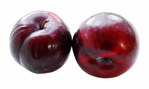 Angelika Erik Fidanı Bakımı