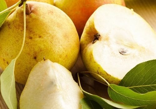 Ankara Armudu Fidanı Çeşitleri