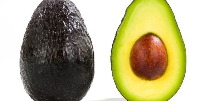 Avokado Fidanı Çeşitleri