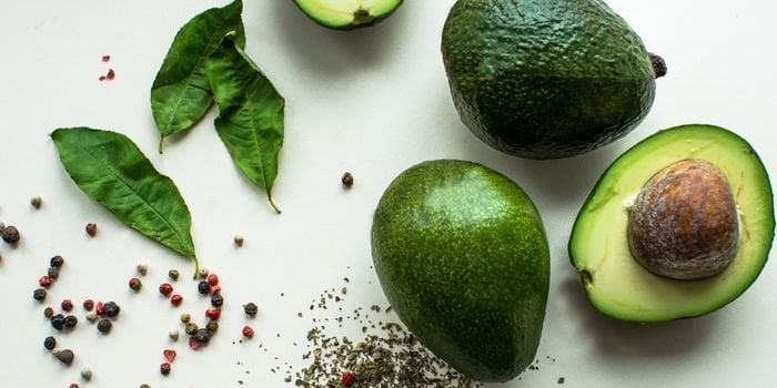 Avokado Fidanı Fiyatı