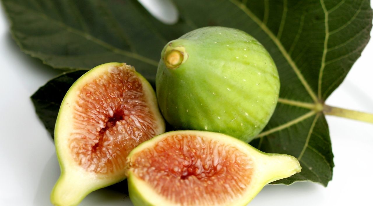 Bardacık İncir Fidanı Fiyatı