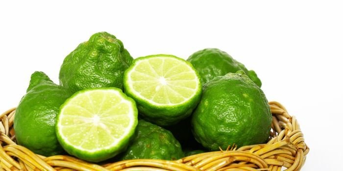Bergamot Fidanı Fiyatı