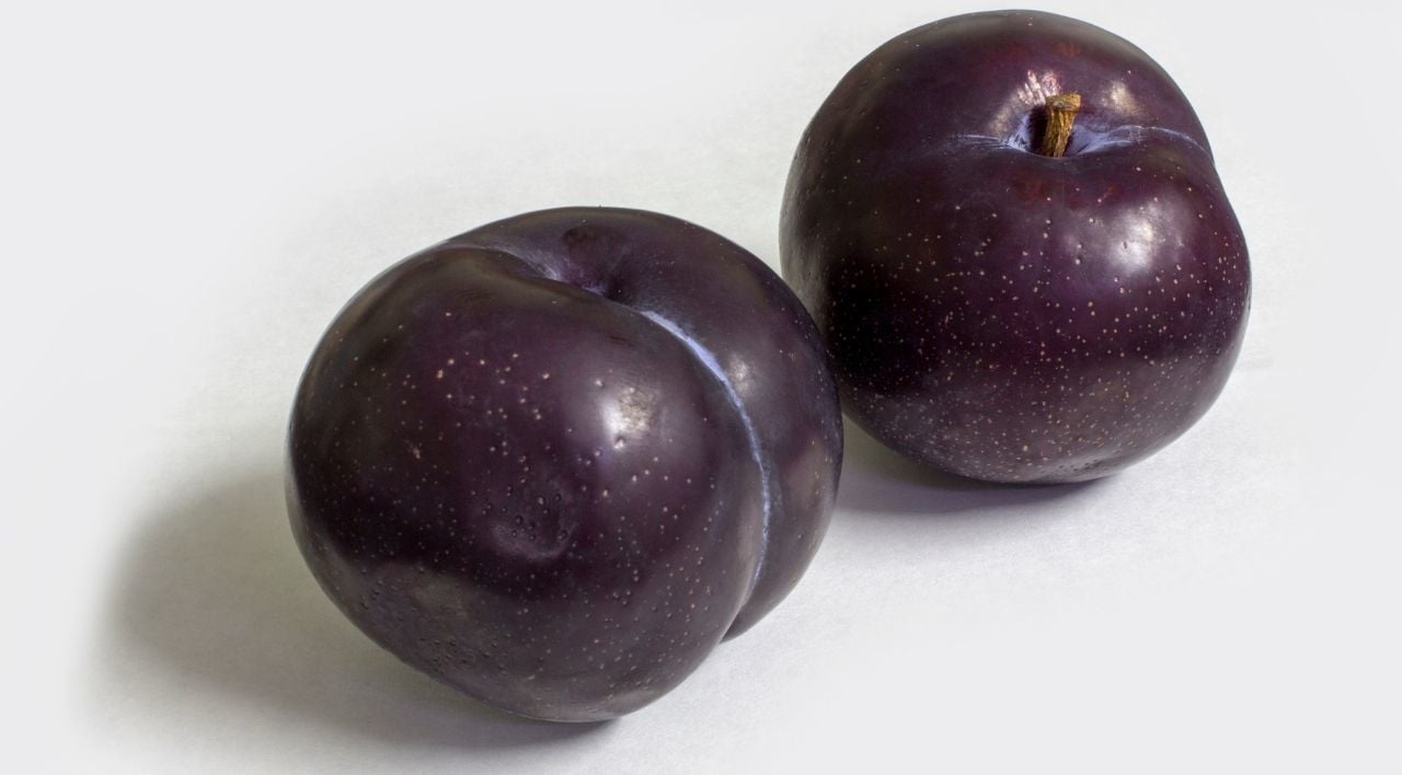 Black Diamond Erik Fidanı Özellikleri