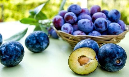 Aşılı Erik Fidanı Özellikleri