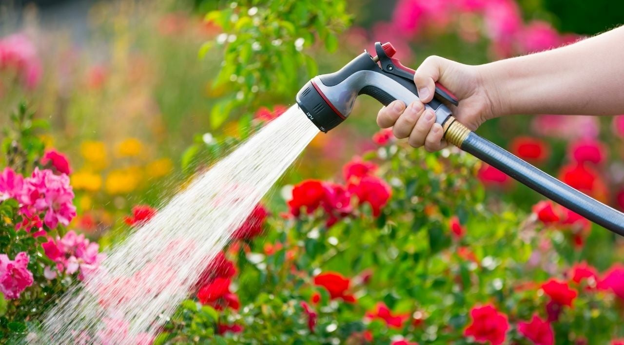 Çiçek Nasıl Sulanır?