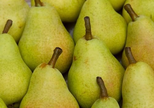 Deveci Armut Fidanı Fiyatı