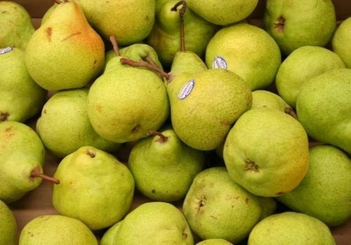 Deveci Armut Fidanı Özellikleri