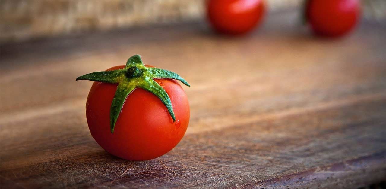 Domates Tohumu Nasıl Ekilir