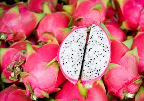 Ejder Meyvesi Fidanı Çeşitleri