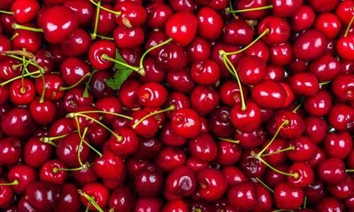 Eşme Kirazı Fidanı Çeşitleri