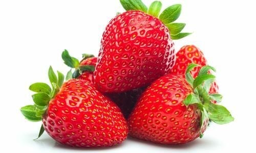 Festival Çilek Fidesi Çeşitleri