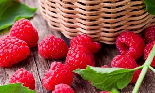 Frambuaz Fidanı Satışı