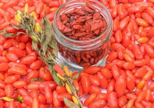 Goji Berry Fidanı Özellikleri