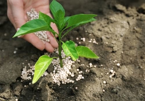 Toprak Gübresi Çeşitleri