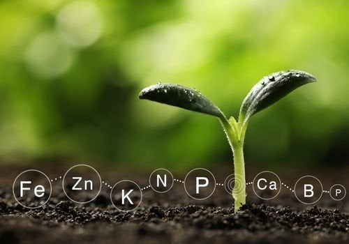 Toprak Vitaminleri Nelerdir?