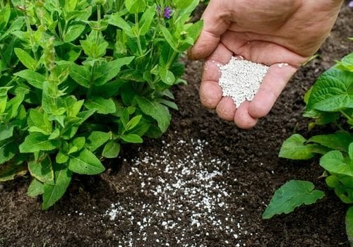 Mineralli Toprak Nasıl Olur