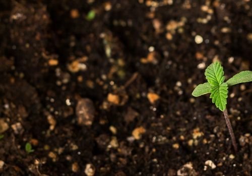 Gübreli Toprak Satışı