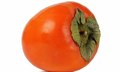 Hanna Fuyu Trabzon Hurması Bakımı