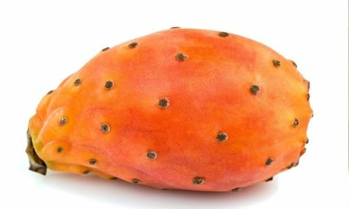 Hint İnciri Fidanı Satışı