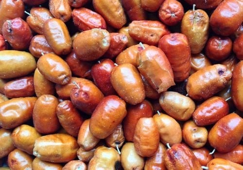 İğde Fidanı Fiyatı