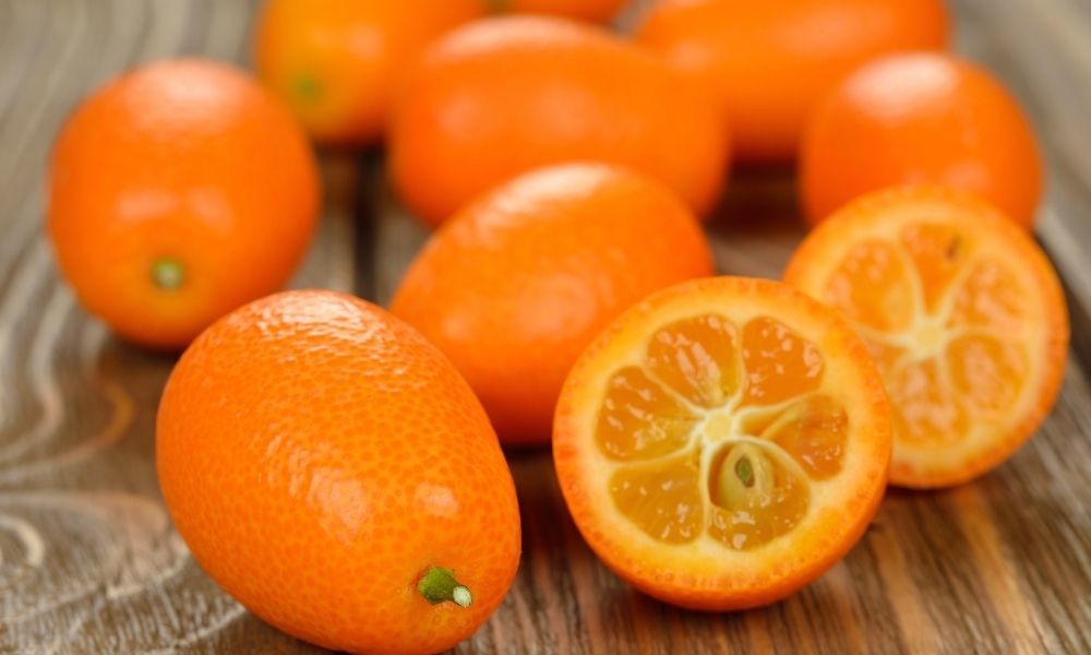 Kamkat Fidanı Bakımı