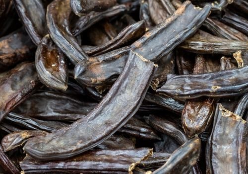 Harnup Fidanı Satışı