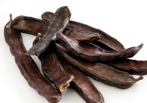 Keçi Boynuzu Fidanı Fiyatı