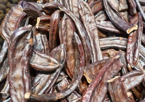 Keçi Boynuzu Fidanı Satışı