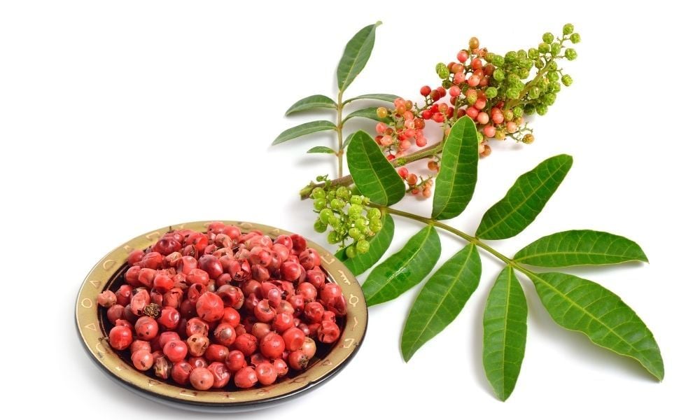 Karabiber Faydaları