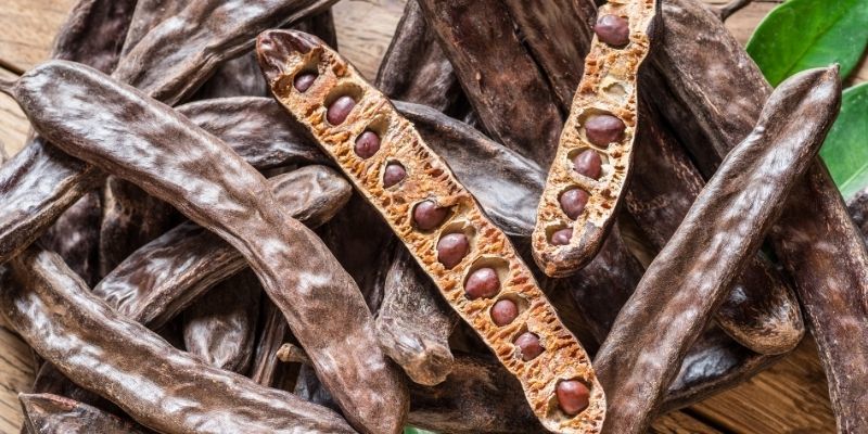 Tüplü Keçi Boynuzu Fidanı Bakımı