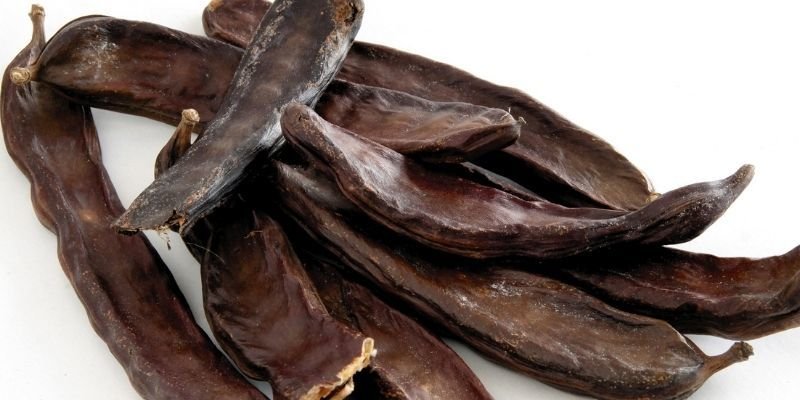 Tüplü Keçi Boynuzu Fidanı Özellikleri