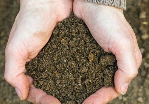 Mil Karışımlı Toprak Nasıl Olur?