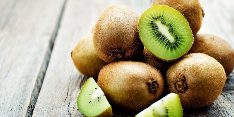 Tüplü Dişi Kivi Fidanı Fiyatı