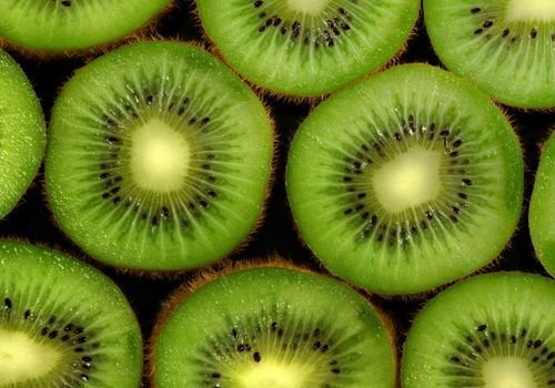 Kivi Fidanı Satışı