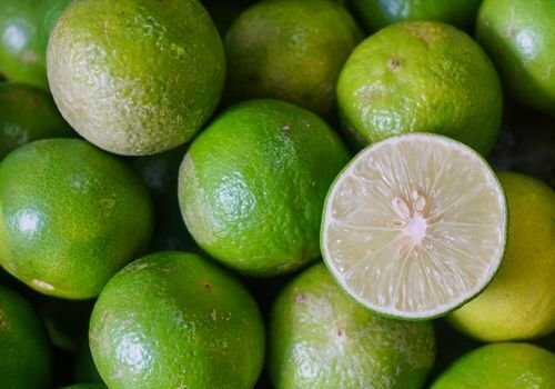 Lime Limon Fidanı Fiyatı