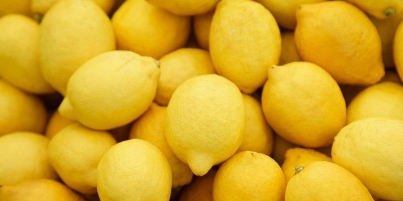 Limon Fidanı Çeşitleri