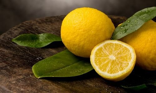 Mayer Limon Fidanı Fiyatı