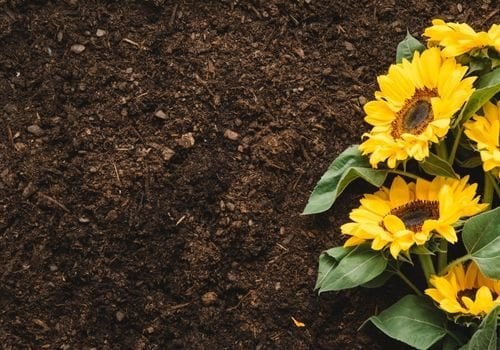 Killi Toprak Nasıl Olur?