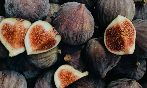 Patlıcan İnciri Fidanı Fiyatı