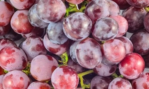 Red Globe Üzüm Fidanı Çeşitleri