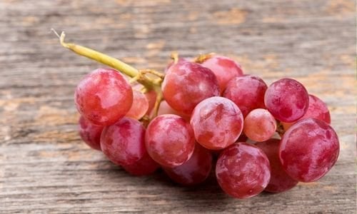 Red Globe Üzüm Fidanı Özellikleri