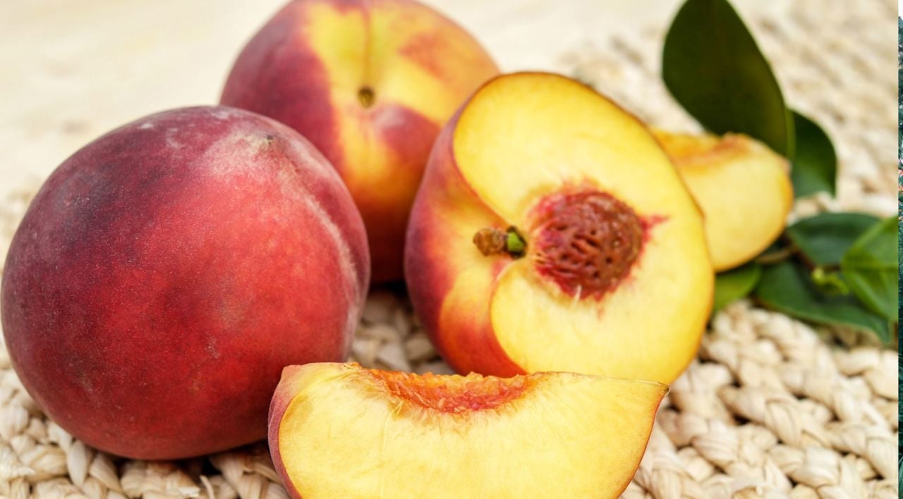 Şeftali Fidanı Bakımı