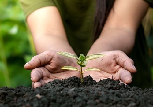 Stres Alan Toprak Satışı