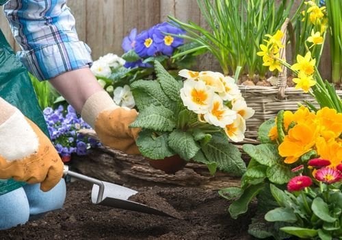 Çiçek Toprağı Nasıl Hazırlanır