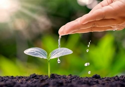 Vitaminli Toprak Satışı