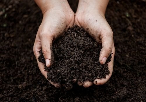 Islak Toprak Nasıl Kurutulur