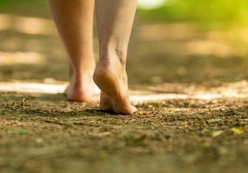 Toprağa Basmak İsteyenin Toprağı Ayağına Getiriyoruz