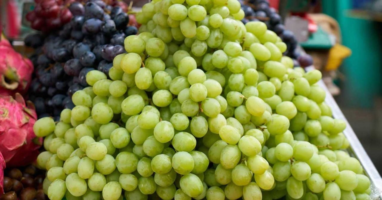 Üzüm Fidanı Nasıl Dikilir